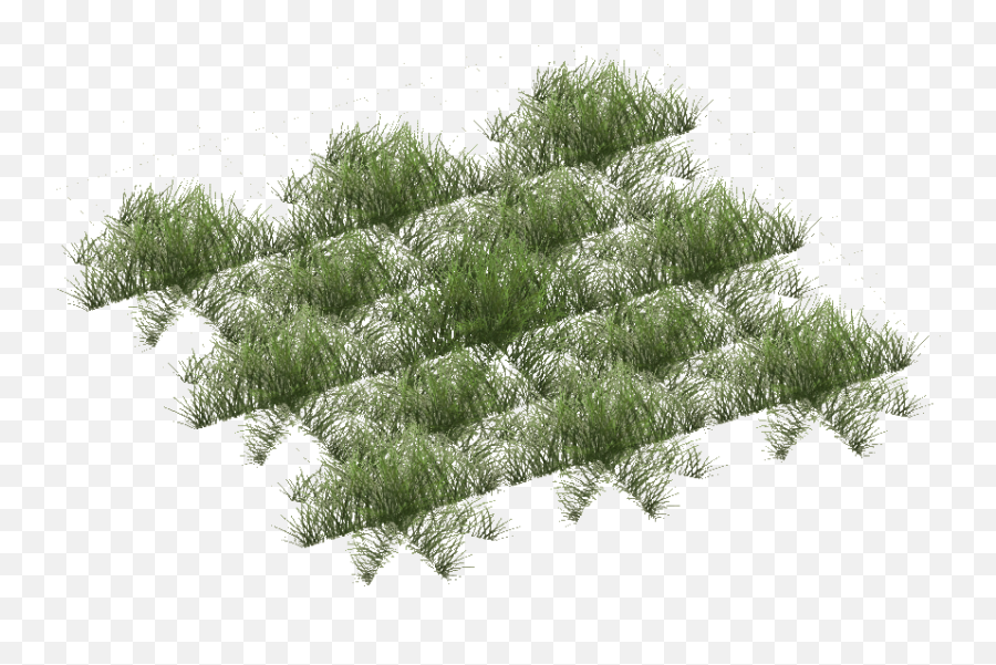 Grassland Grasses Jimmyzhoopz Zt2 Download Library Wiki Png Icon