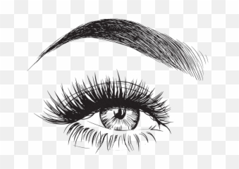 Eyebrow Vector - Eyelashes Drawing png
