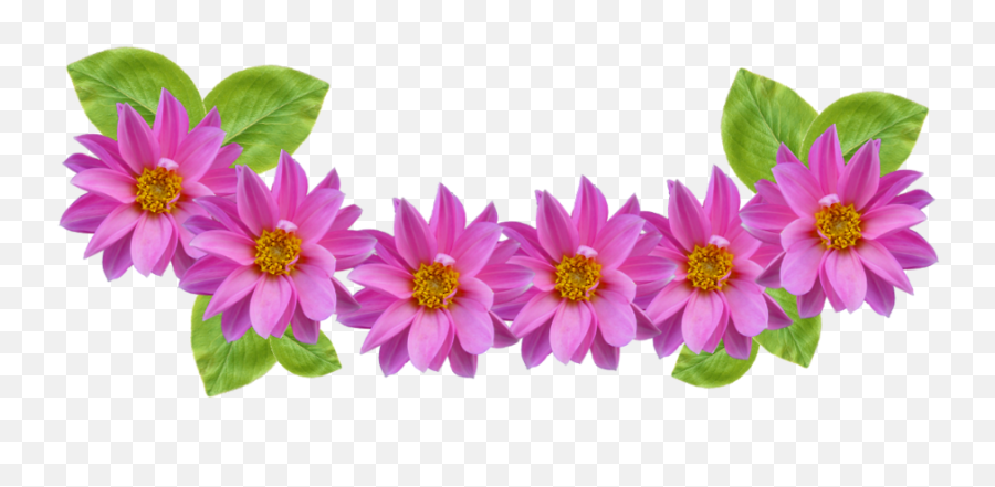 23 Purple Flower Clipart Animated Free Clip Art Stock - Flower Crown Clipart  Png,Flower Cartoon Png - free transparent png images 