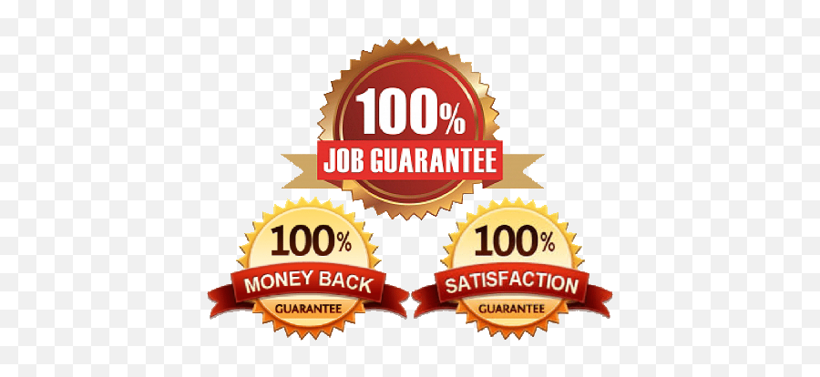 100% Placement Assistance - Job Announcement Icon - Free Transparent PNG  Clipart Images Download