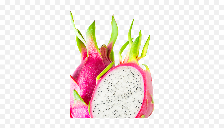 Crunchy White Dragon Fruit U2013 Volupta - Pitaya Png,Dragonfruit Png