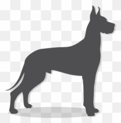 Download Hd Icon - Great Dane Icon Transparent Transparent Natural Ear Great Dane Silhouette Png,Great Dane Png
