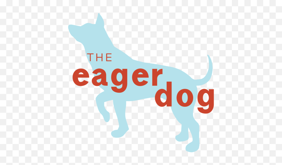 The Eager Dog - Dog Catches Something Png,Doggo Png