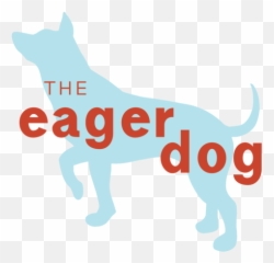 The Eager Dog - Dog Catches Something Png,Doggo Png