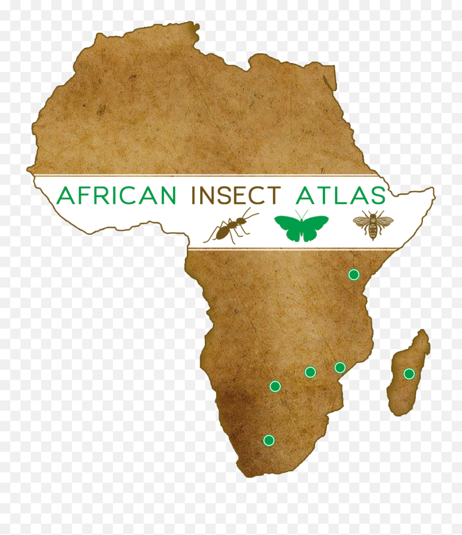 African Insect Atlas - Africa On Map Transparent Png,African Tree Png