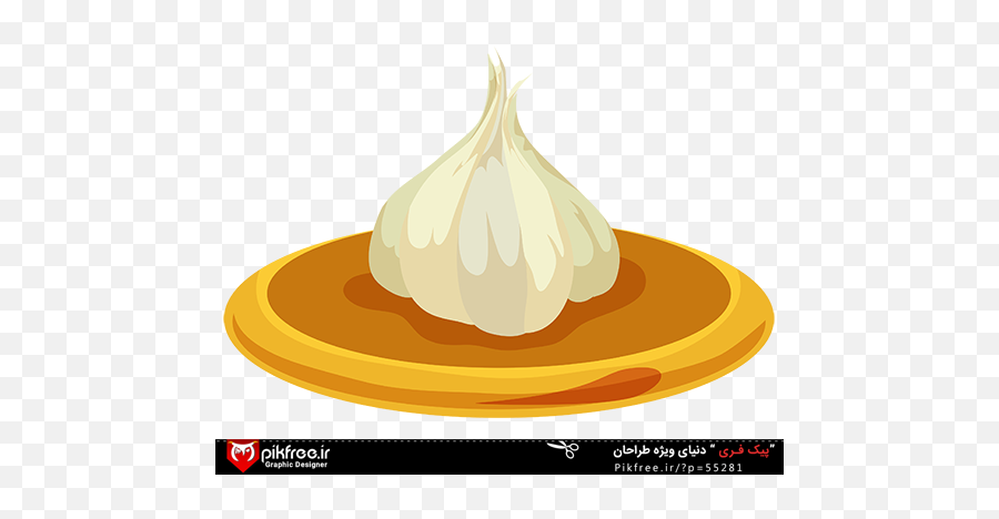 Vector Psd Icon Garlic Png Transparent Background