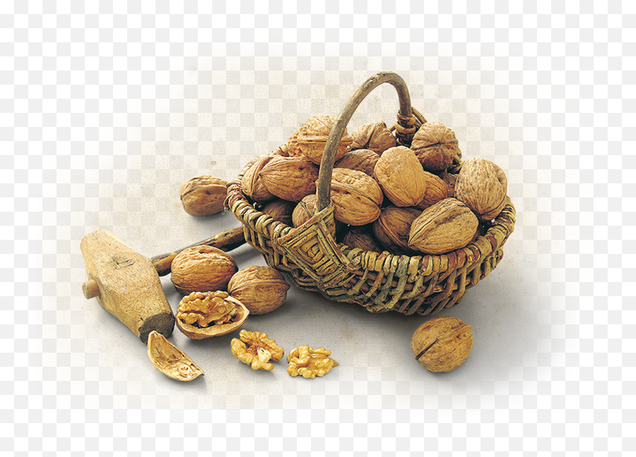 Walnuts Png