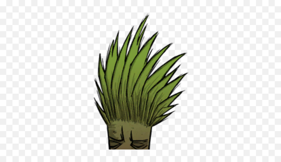 Regular Jungle Tree Donu0027t Starve Game Wiki Fandom - Regular Png,Jungle Png