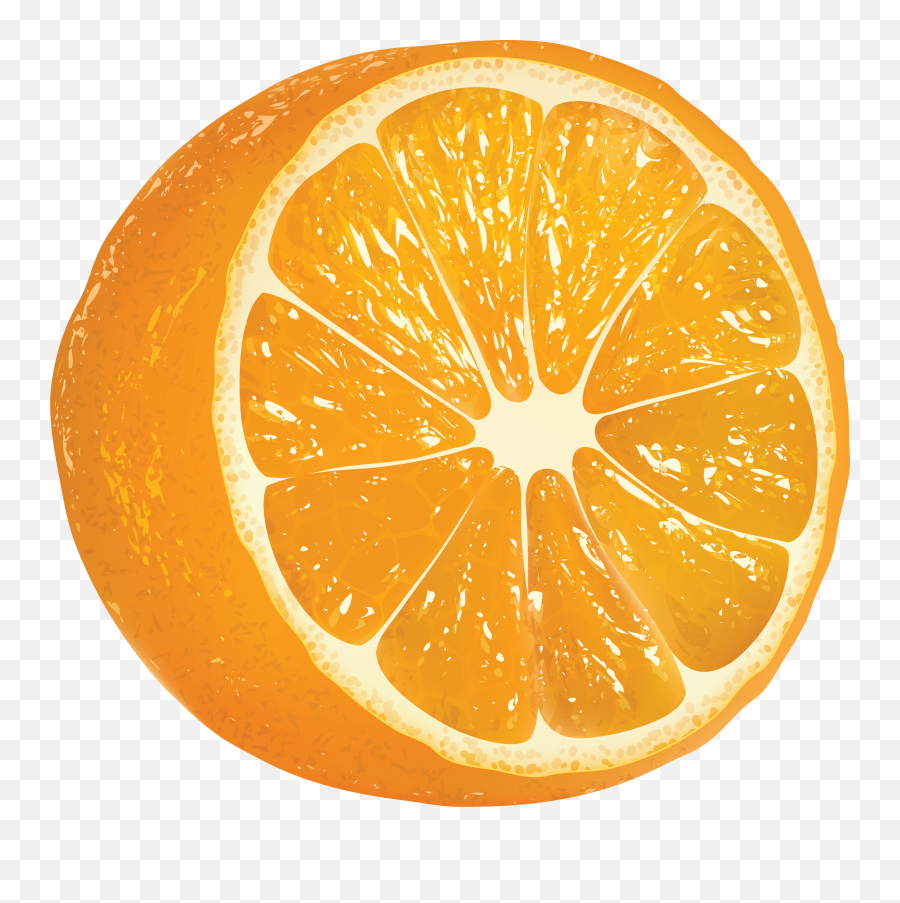 Download Oranges Png Image Photo - Cartoon Oranges,Oranges Png