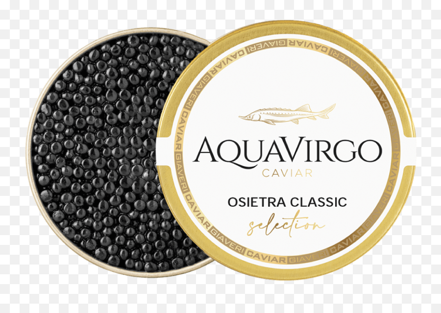 Classic Caviar - Caviar Png,Caviar Png