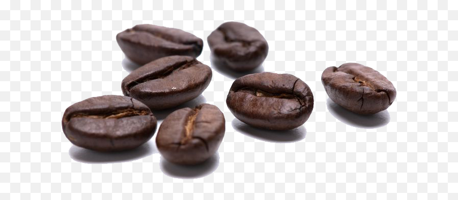 Coffee Beans Transparent Free Png - Transparent Coffe Bean Png Free,Beans Png