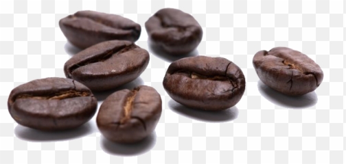 Coffee Beans Transparent Free Png - Transparent Coffe Bean Png Free,Beans Png