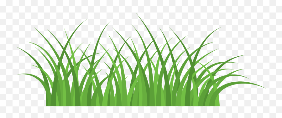 Free Grass Png With Transparent Background - Cesped Png,Grass Transparent