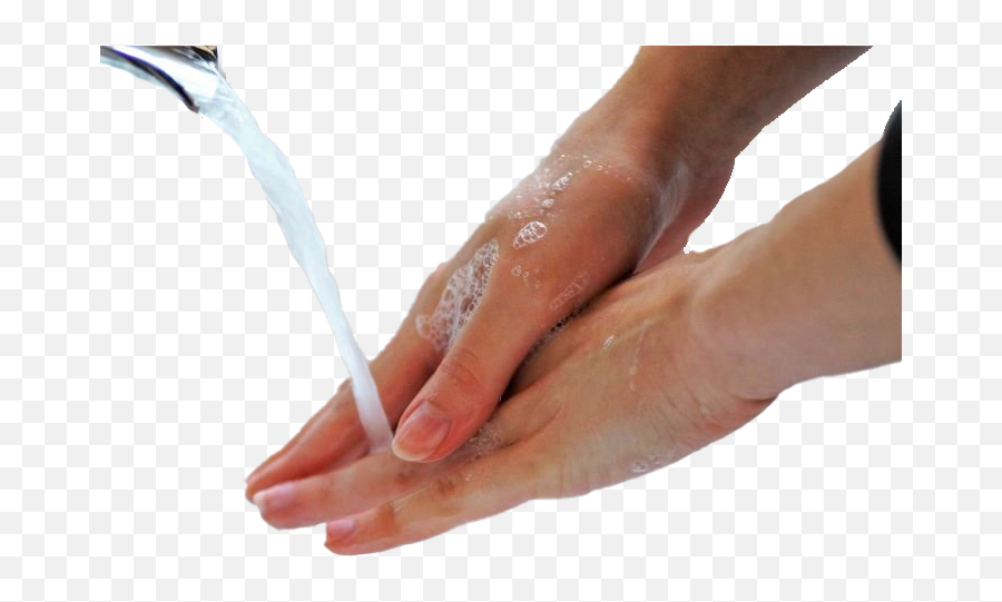 Wash Hands Png Image Transparent - Transparent Wash Hand Png,Hands Png