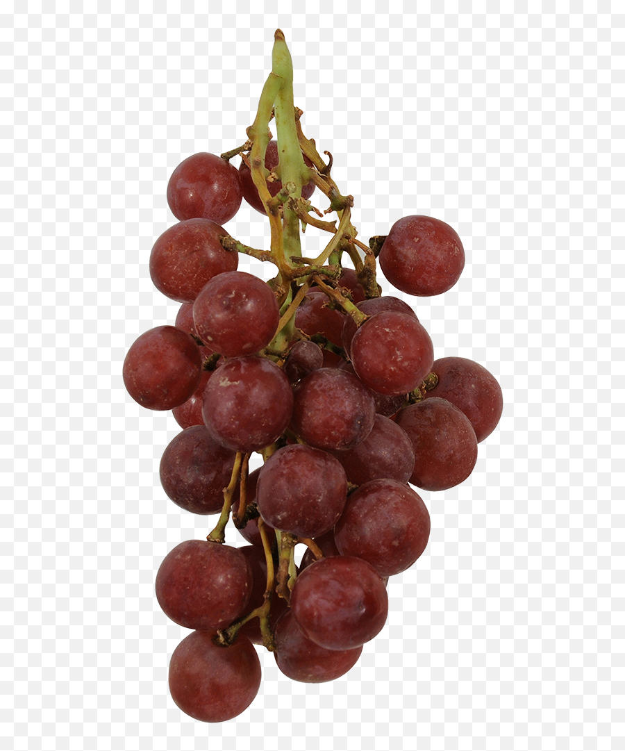 King Soopers - Grapes Red Seedless 1 Lb Diamond Png,Grapes Transparent
