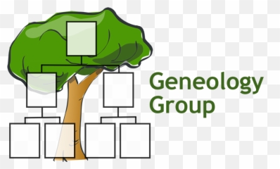 Family Tree Template Clipart - Small Blank png