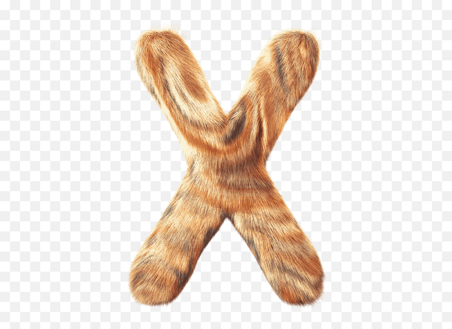 Express Your Love For Animal Typograpy And Buy Funny Furry Font - Fur Typography Png,Furry Png