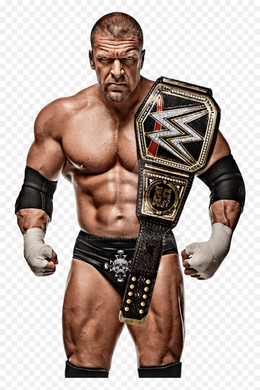 Triple H Ric Flair - Triple H Wwe Champion Png,Ric Flair Png