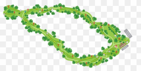 Disc Golf - Branchwood Disc Golf Course Png,Disc Golf Basket Png
