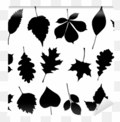 Vector Illustration Set Of 18 Autumn Leaf Silhouettes Wall Mural U2022 Pixers - We live change Leaf Silhouette png
