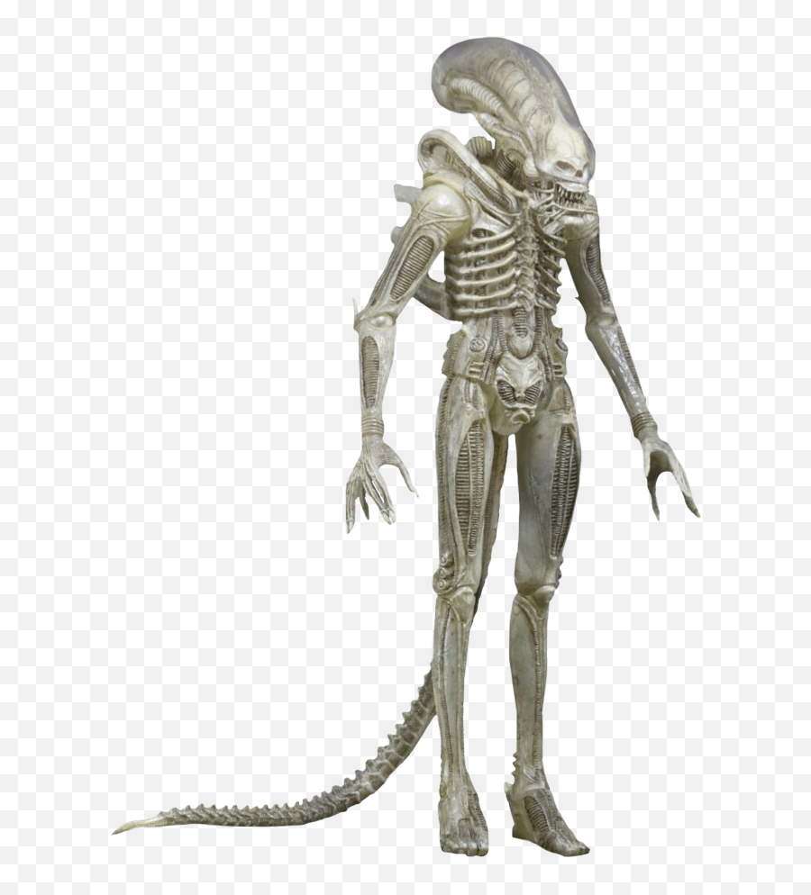 Alien - Translucent Prototype Alien 14 Scale Action Figure Alien White Xenomorph Png,Alien Transparent