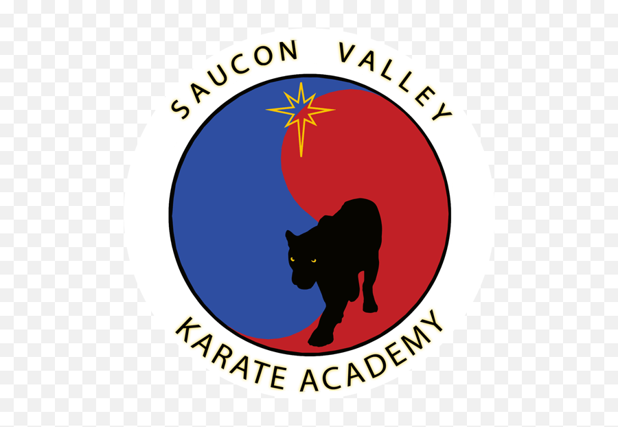 Adult Tang Soo Do In Person Classes Hellertown - Saucon Valley Karate Academy Png,Self Defense Icon