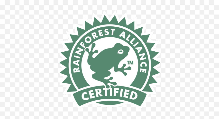 Creation Care - Trinity Church Rainforest Alliance Transparent Png,Ethics Icon Depth And Complexity