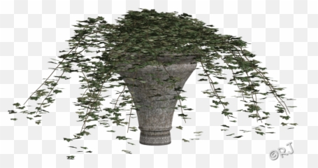 Download Hd Potted Plants Set I - Bigtree Transparent Png Canoe Birch,Big Tree Png