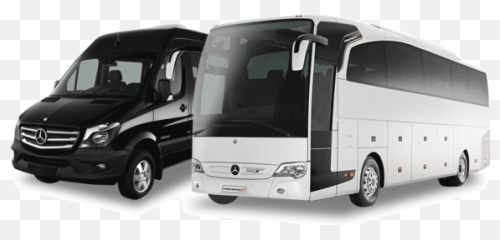 Global Limo Service And Party Bus Rentals - png