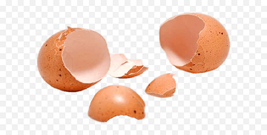 Two Cracked Eggshells Transparent Png - Stickpng Cracked Egg Shell Png,Cracked Egg Png
