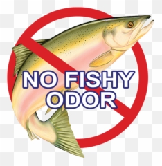 Certified Organic - Worldu0027s Best Compost No Fish Odor png