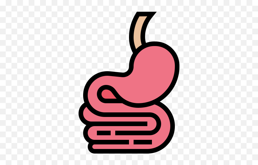 Docty - Stomach To Intestine Icon Png,Doctor Flat Icon