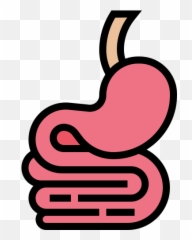 Docty - Stomach To Intestine Icon png