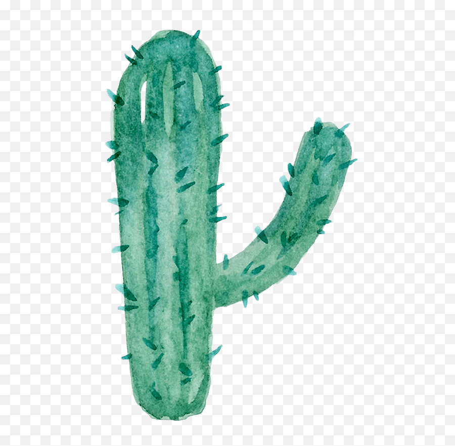 Watercolor Cactus Shape - Acanthocereus Tetragonus Png,Watercolor Cactus Png