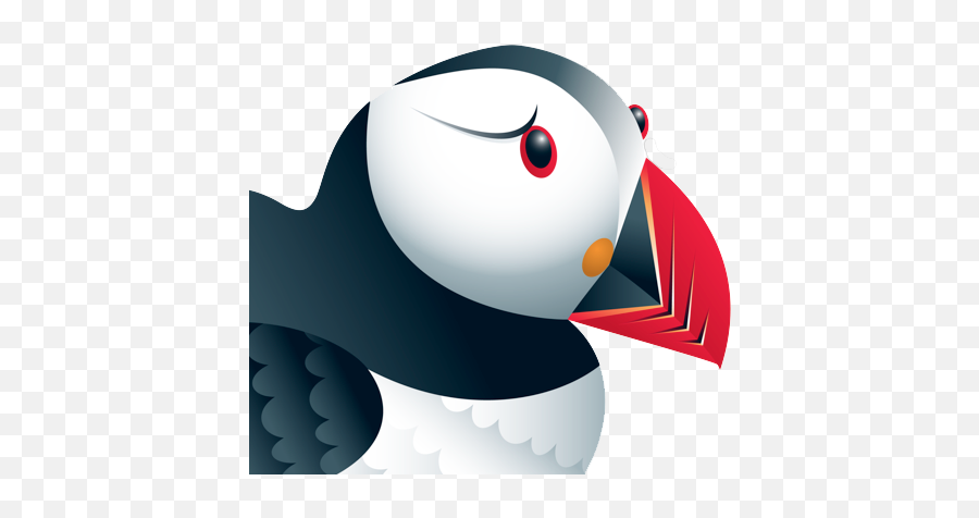 The Puffin Wicked Fast Ipad Browser - Puffin Browserlogo Png,Browser App Icon