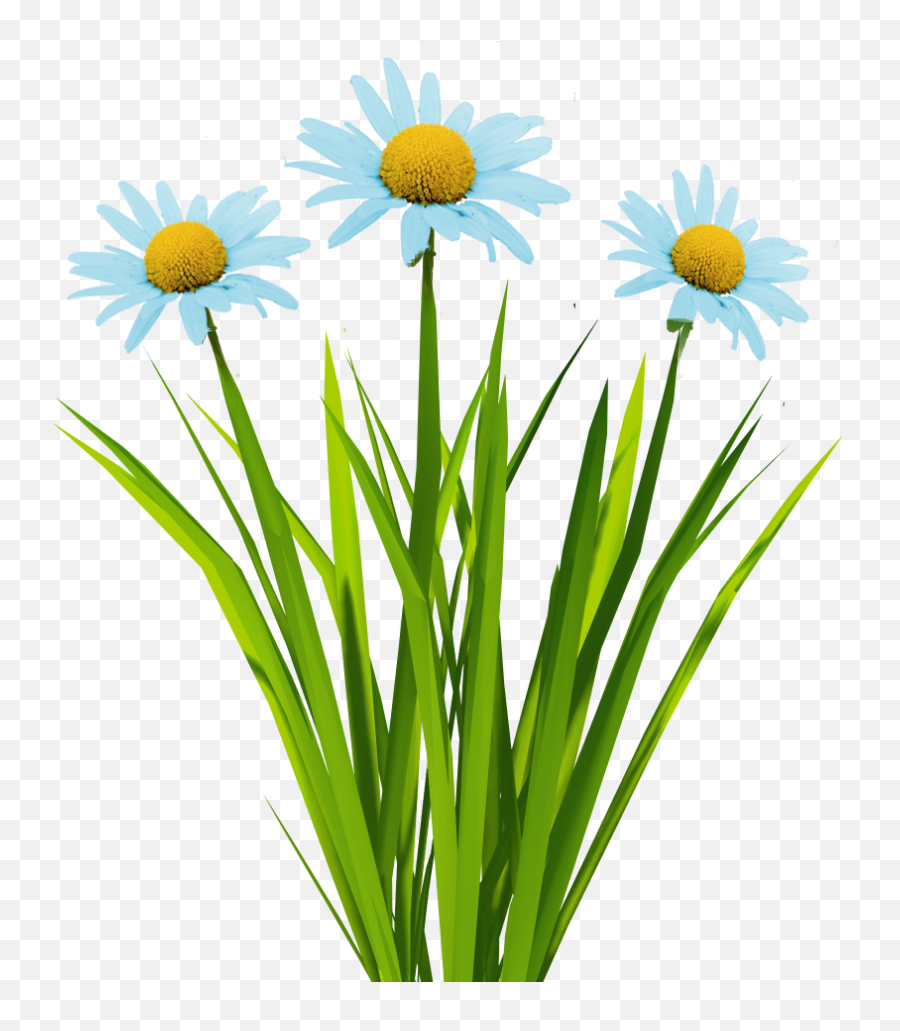 Download Billboard Texture Png - Flower Grass Png Cartoons,Grass Texture Png