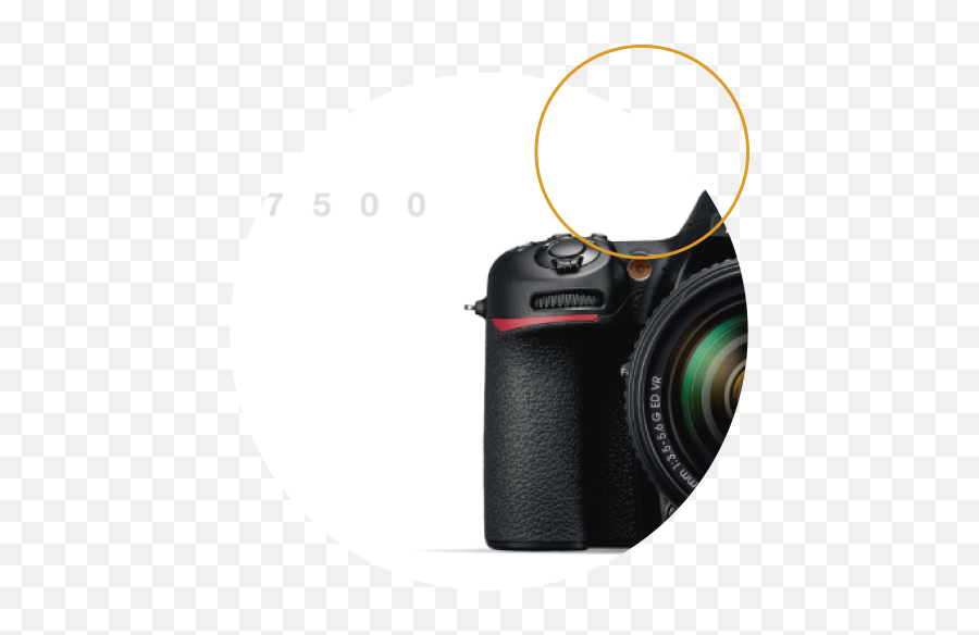 Tucán Agencia Marketing Digital Barranquilla Bogotá - Nikon D7500 Camera Png Hd,Tucan Png