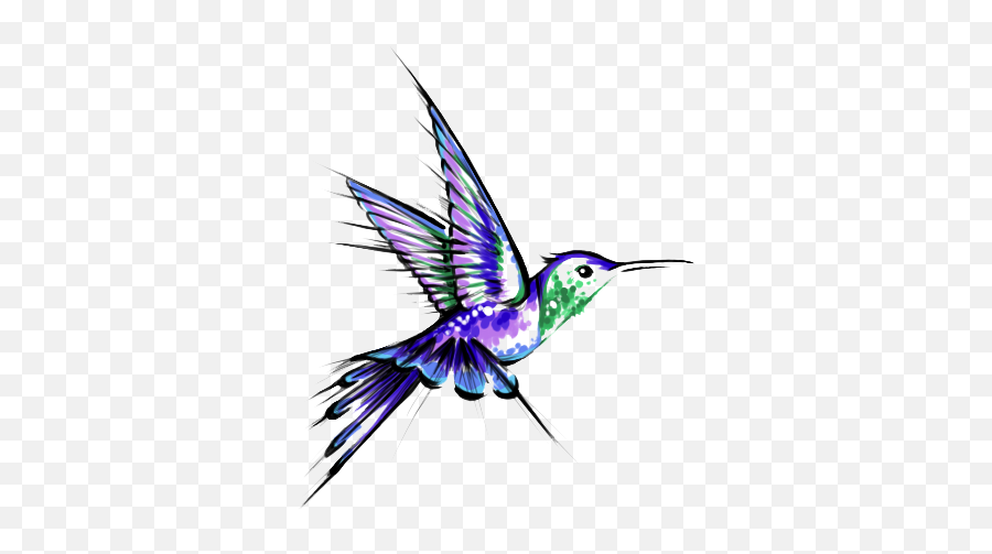 Download Hummingbird Tattoos Transparent Hq Png Image - Hummingbird Tattoo,Transparent Png Images Download