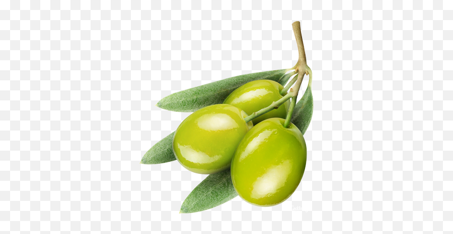 Olive Png - Transparent Olive Png,Olive Png