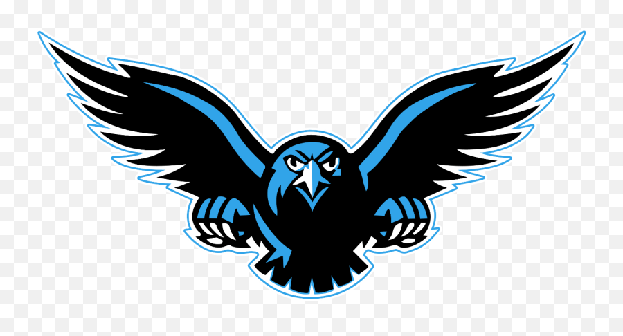 Falcon Logo Vector - Northumberland Nighthawks Png,Bird Logo