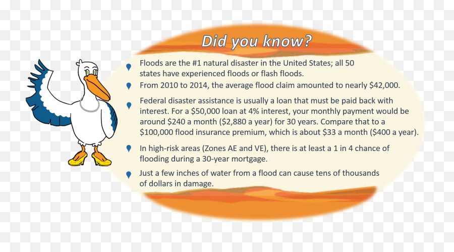 Know Your Flood Risk - Pelican Png,Flood Png