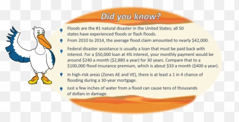 Know Your Flood Risk - Pelican Png,Flood Png