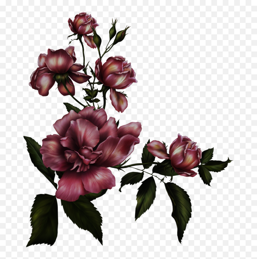 Transparent Background Hq Png Image - Maroon Flowers Transparent Background,Rose Transparent