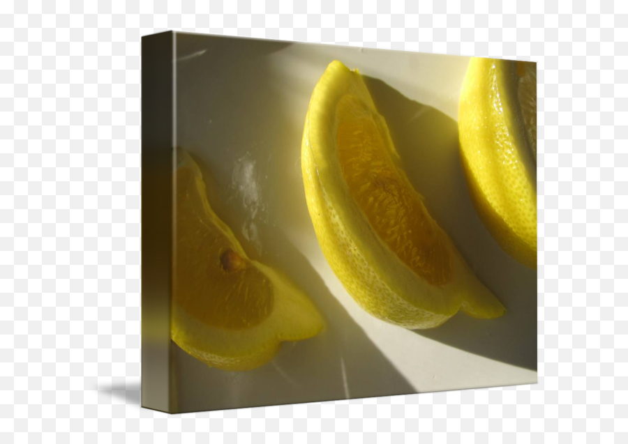 Lemon Slice By Lindie Racz - Meyer Lemon Png,Lemon Slice Png