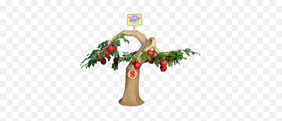 Promotions Money Tree - Illustration Png,Money Tree Png