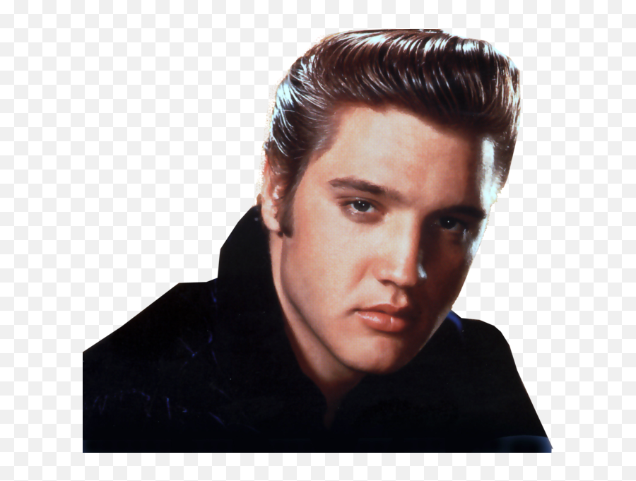 Elvis Presley Hairstyle Pompadour 1950s - Elvis Presley Png,Elvis Png