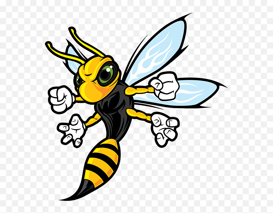 Hornet - Cartoon Hornet Png,Hornets Logo Png