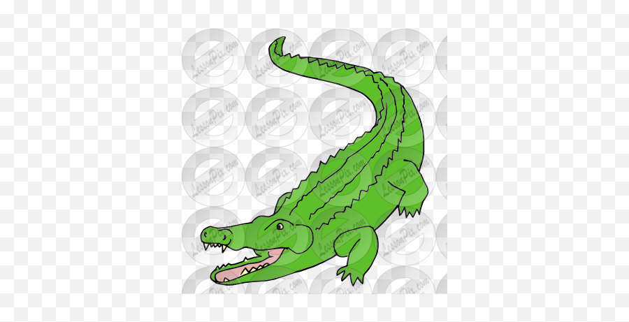 Alligator Picture For Classroom Therapy Use - Great American Crocodile Png,Alligator Png