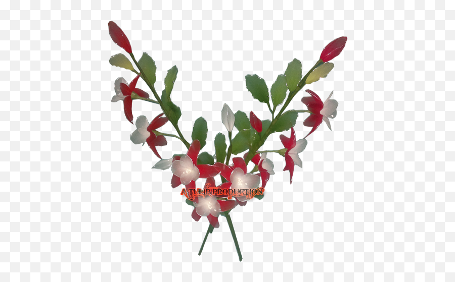 Latest Nylon Handicraft Flower - Item Number Tf7 Buffaloberries Png,Plumeria Flower Png