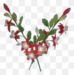 Latest Nylon Handicraft Flower - Item Number Tf7 Buffaloberries Png,Plumeria Flower Png